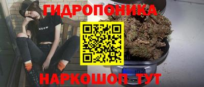 спайс Кунгур